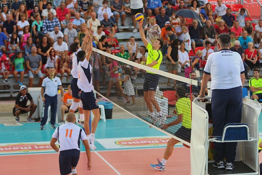 Test matches for GoldenPlast