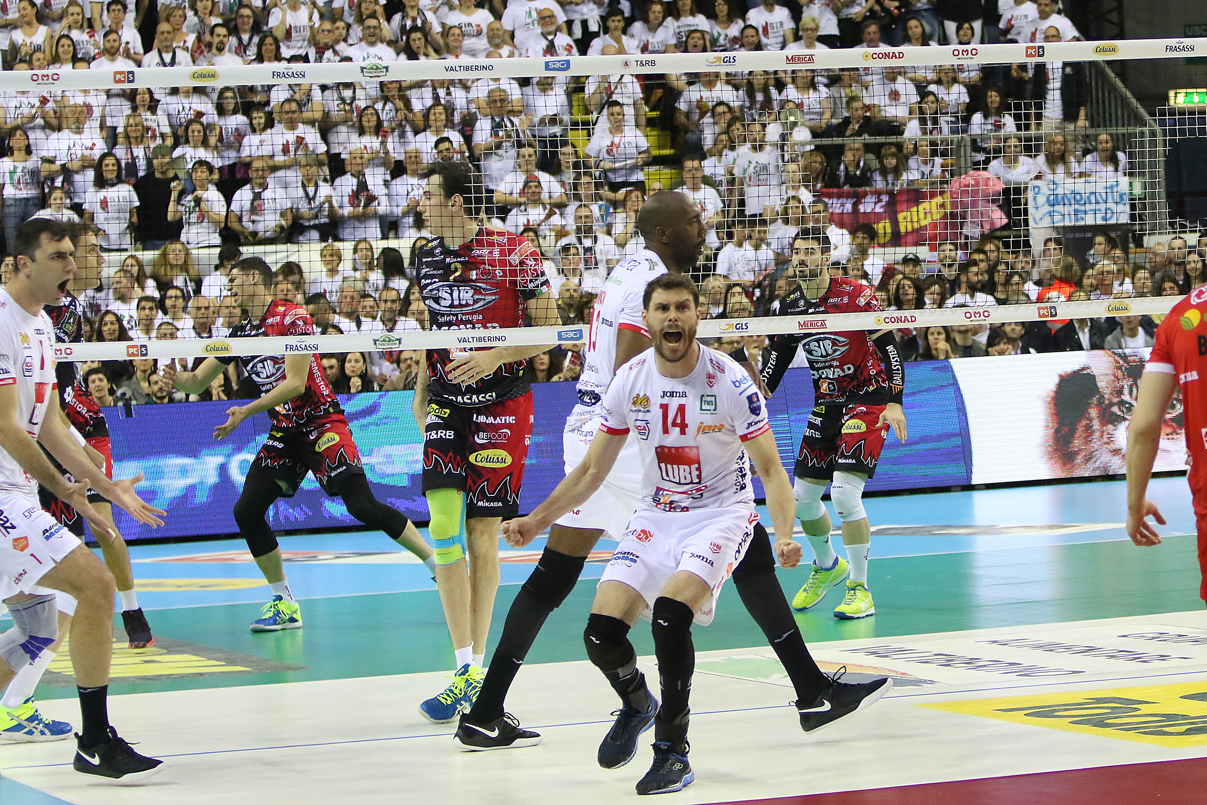 Cucine Lube Civitanova Superlegue Champs