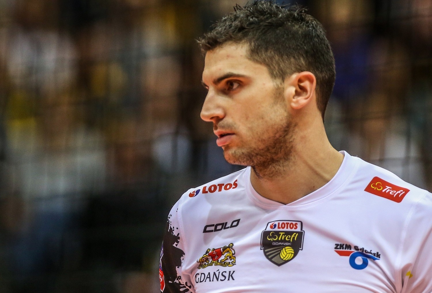 marco_falaschi_siena
