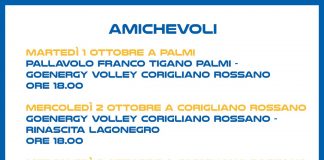 goEnergy : le amichevoli in programma