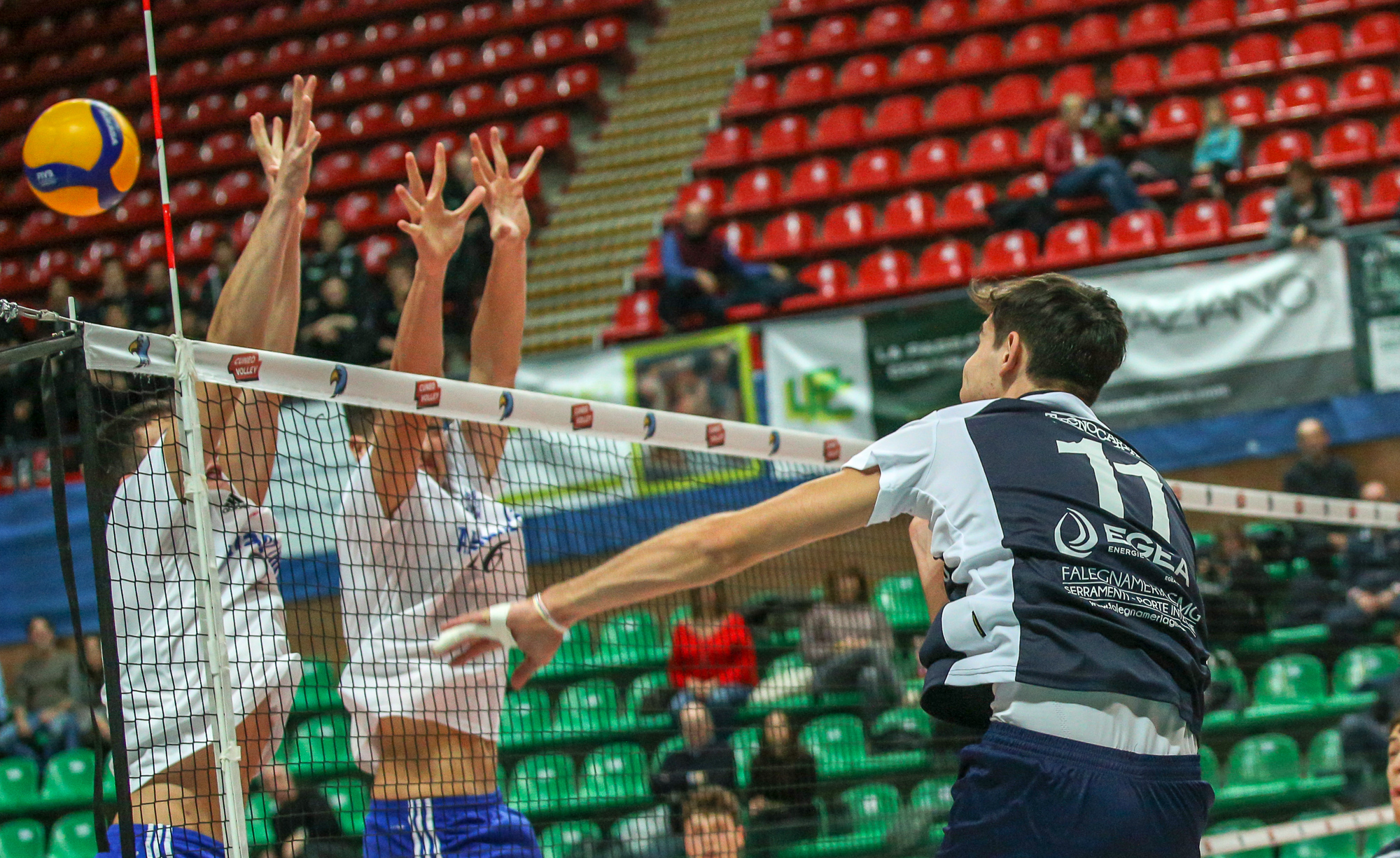 Davide D'Amato n.11