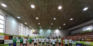 L’attesa è finita: i leoni tornano in campo