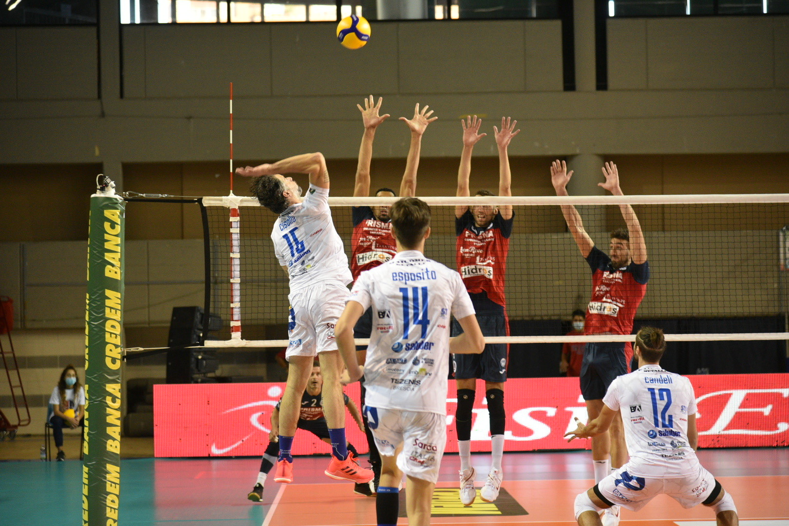 Cisolla in attacco