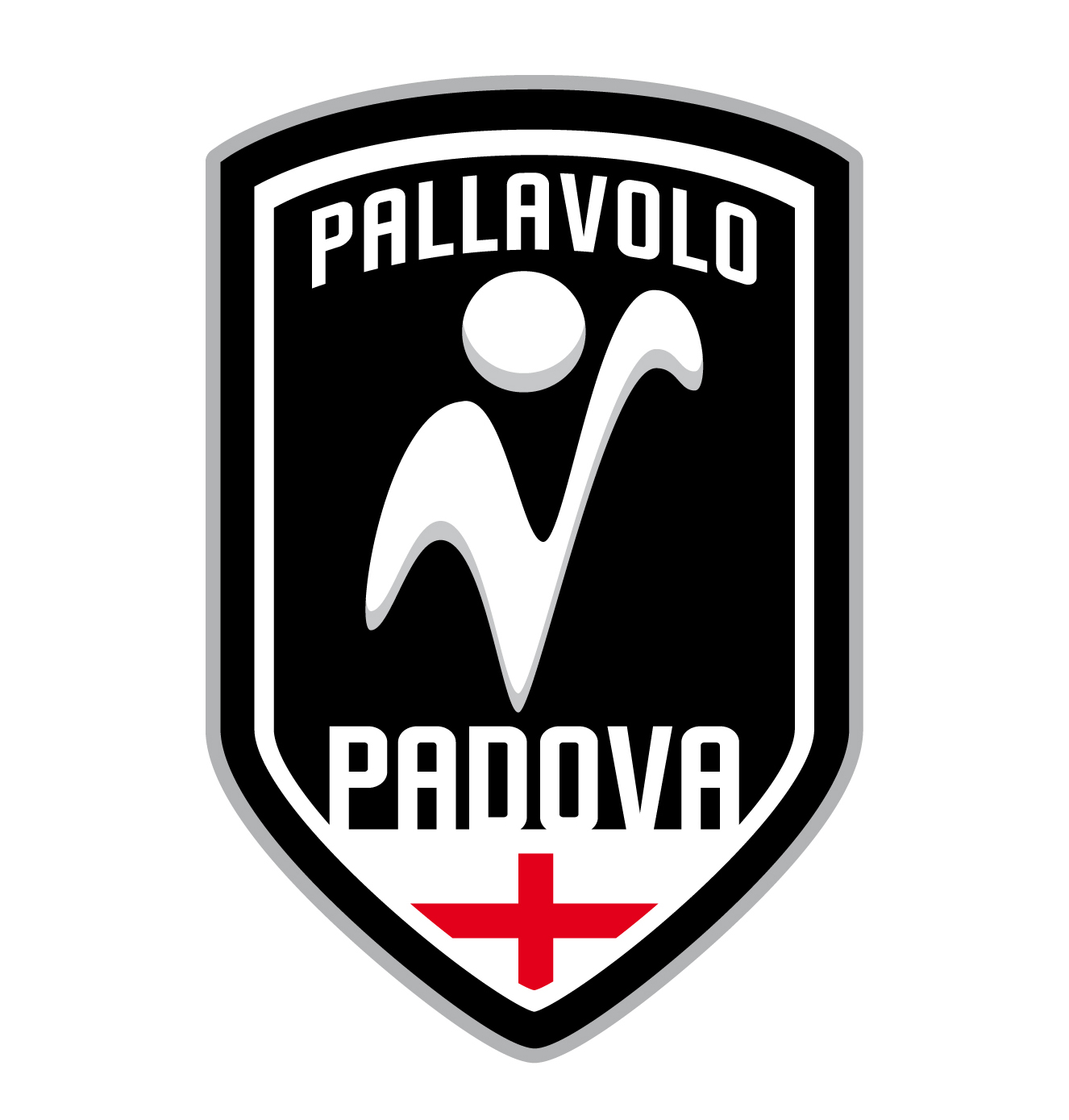 LOGO_PALLAVOLO_NEW