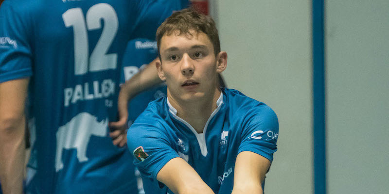 Gallliani_in_fase_di_riscaldamento