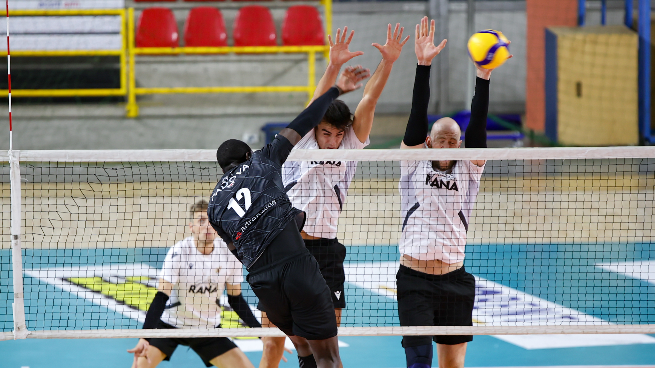 Domani terzo test per Rana Verona: arriva Cuneo