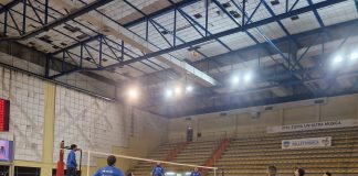 Avimecc hosting Palmi