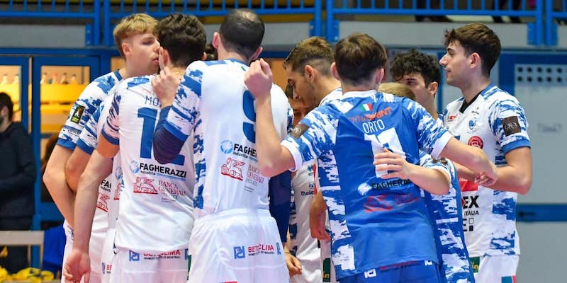 I_rinoceronti_aspettano_Acqui_Terme
