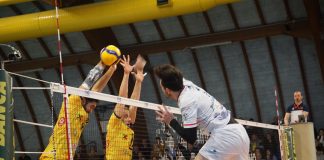 Bologna searching out for continuity