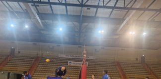 Avimecc hosting Napoli