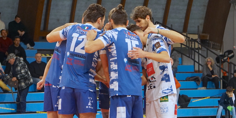 I_rinoceronti_a_Mirandola