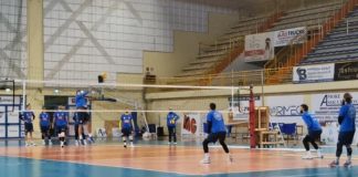 Avimecc back to work