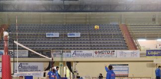 Avimecc to Palmi