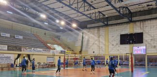 Avimecc hosting Macerata