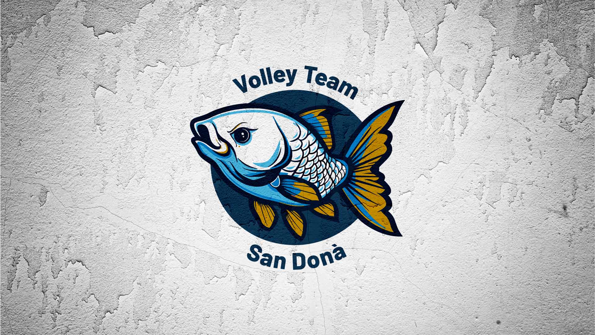 VTSDLogo