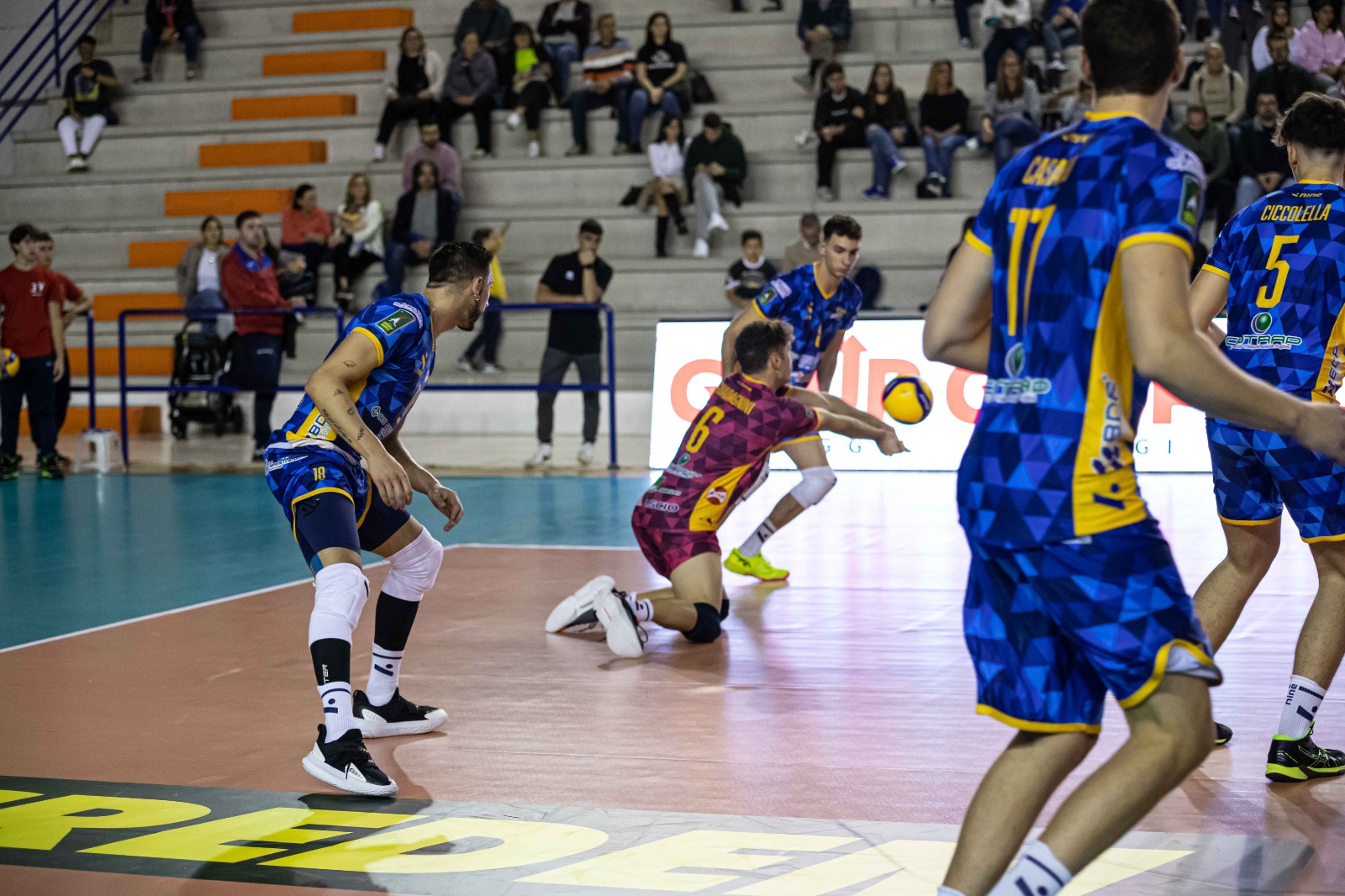 nmv_gioia_guadagnini