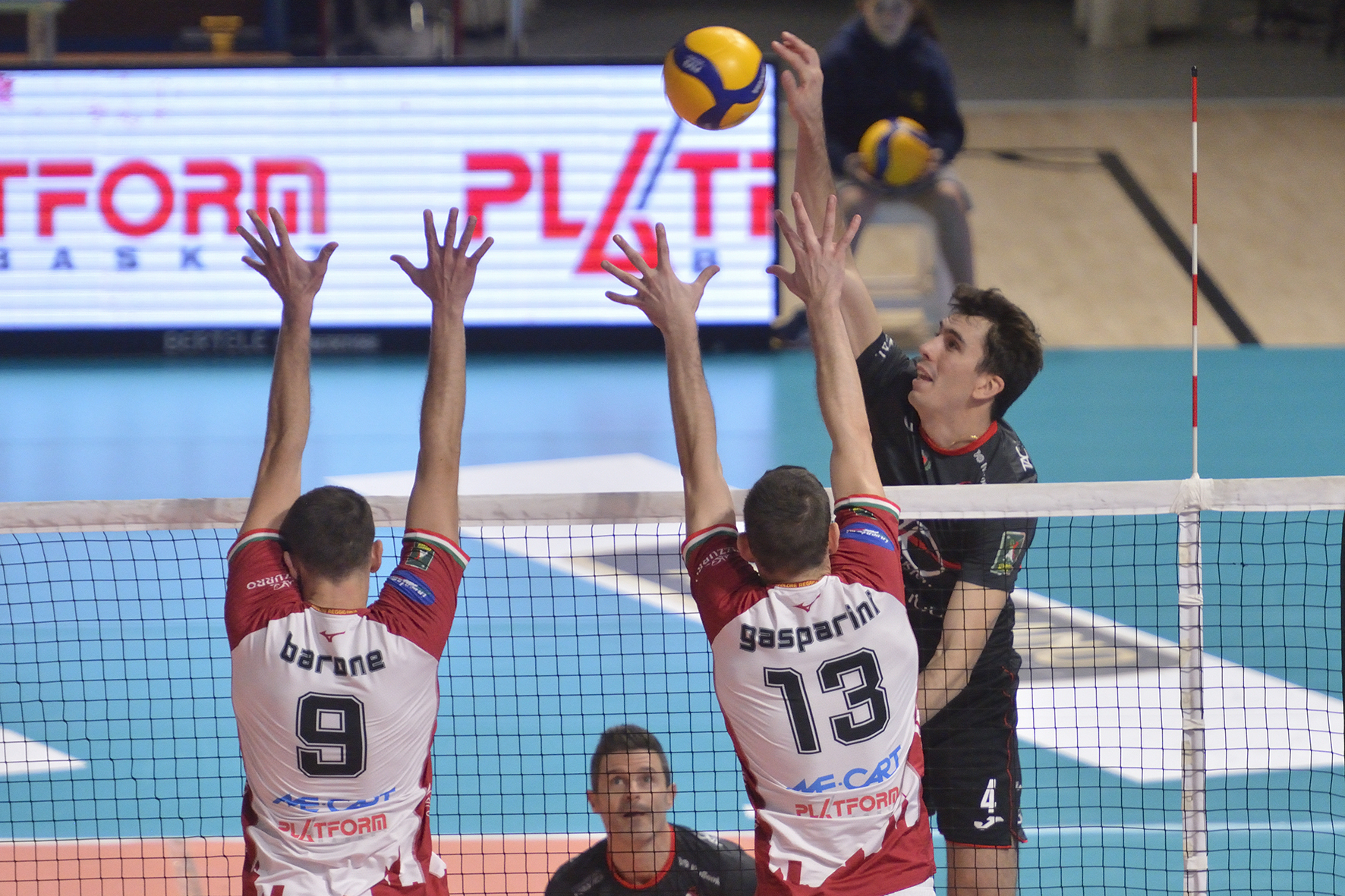 MERLO-IN-ATTACCO-A-REGGIO-EMILIA