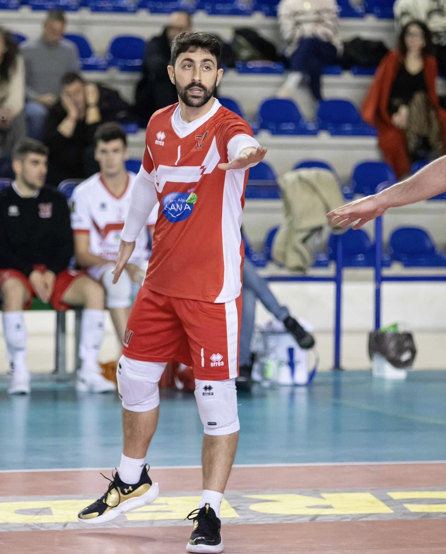 ANDREA DI CARLO_