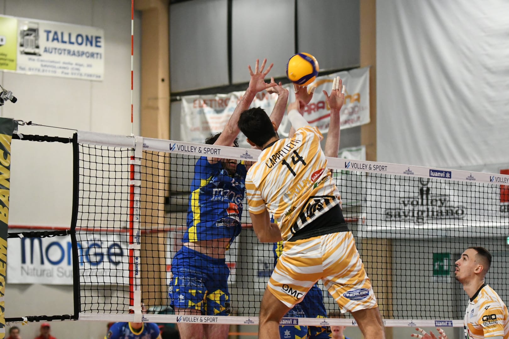 cappelletti attacco a savigliano