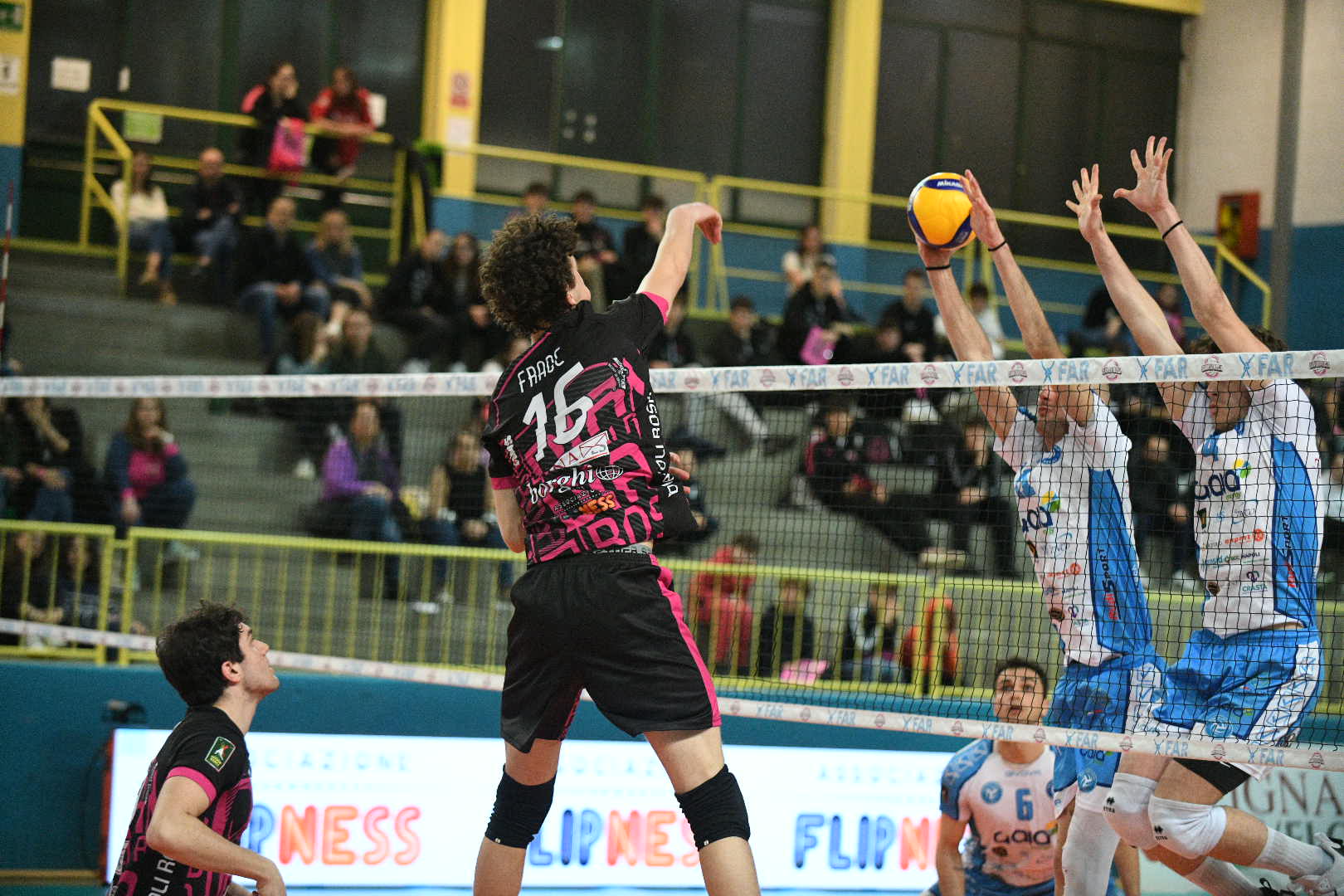 POUTA3, Brugherio_Napoli