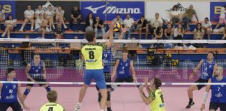 A loss versus Cuneo