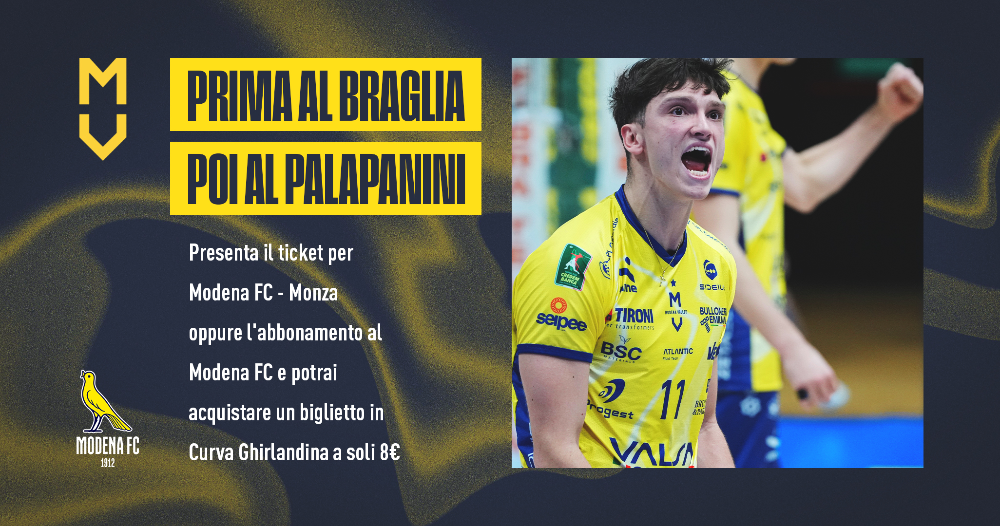 grafica pala braglia