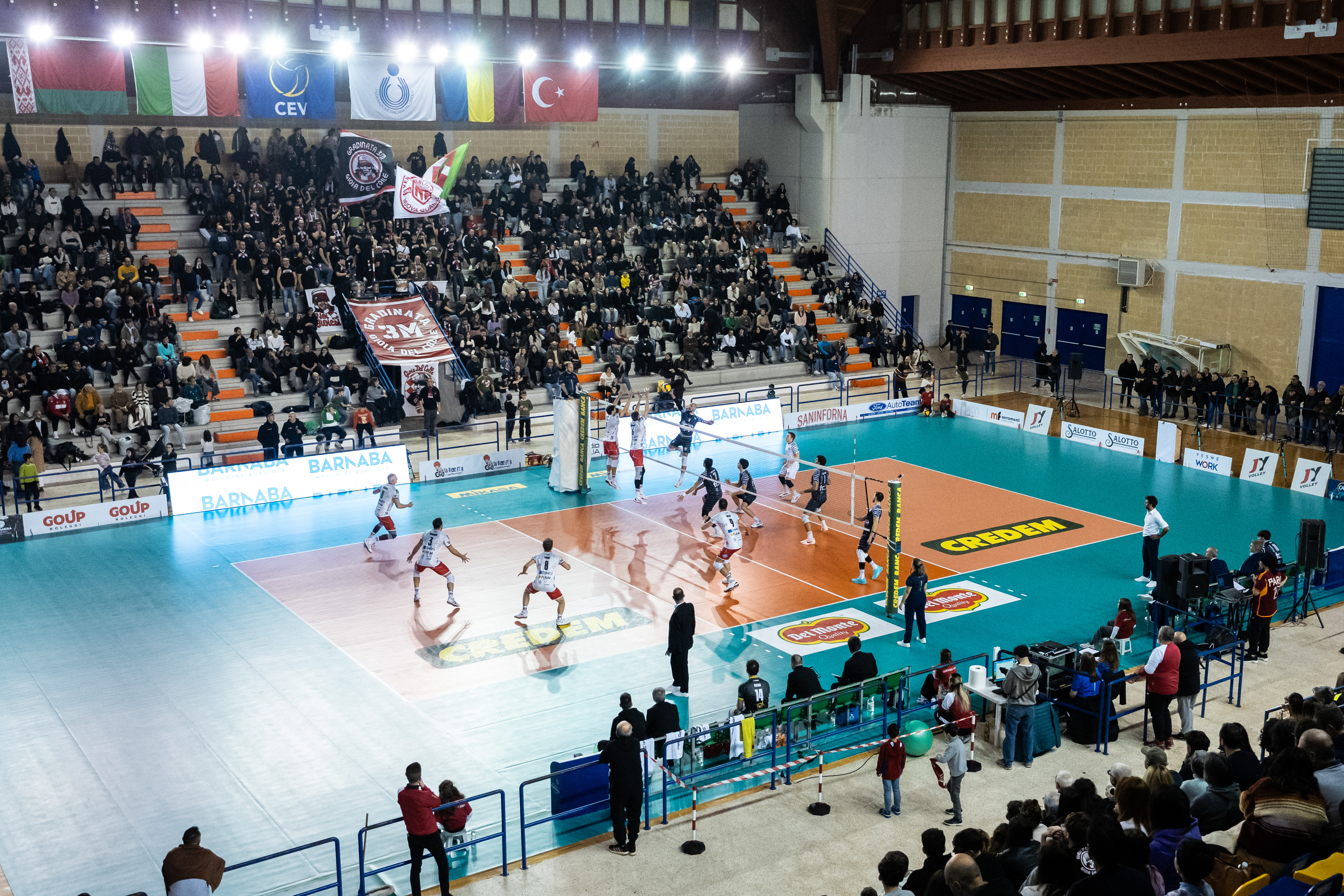 Volley 18-01-8
