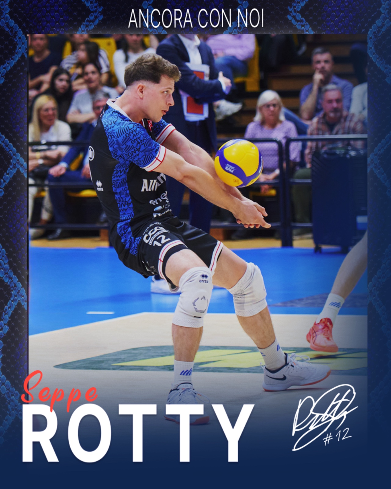 Grafica Rotty