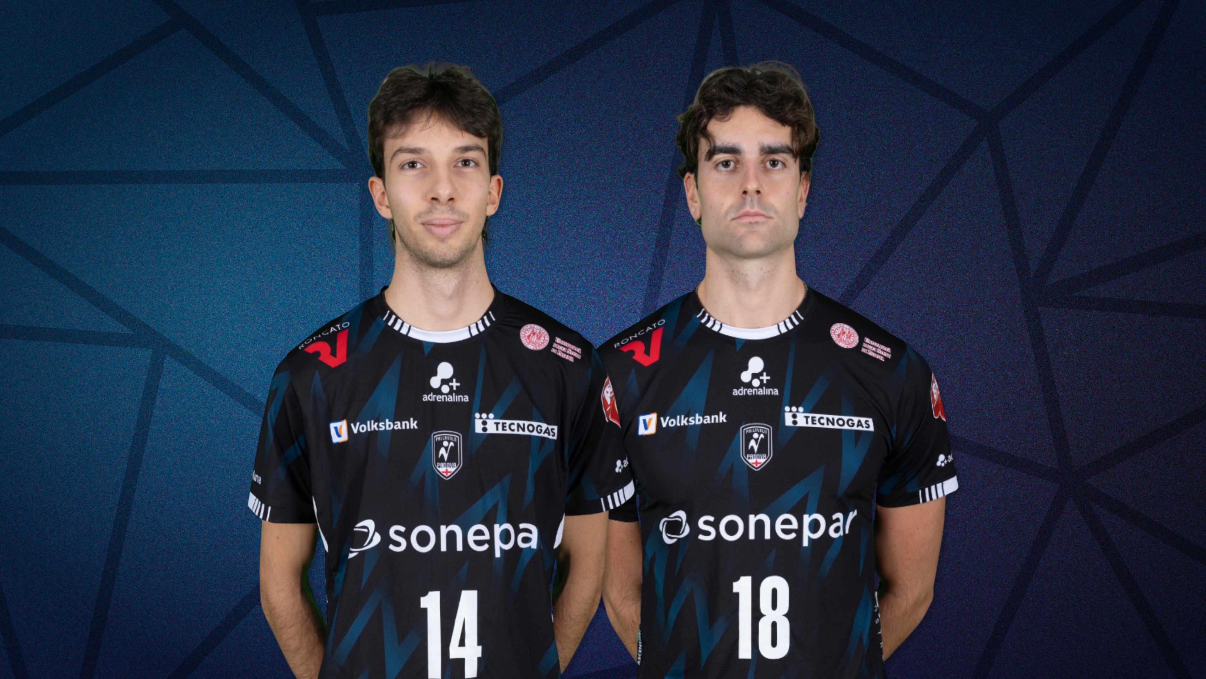 immagine copertina