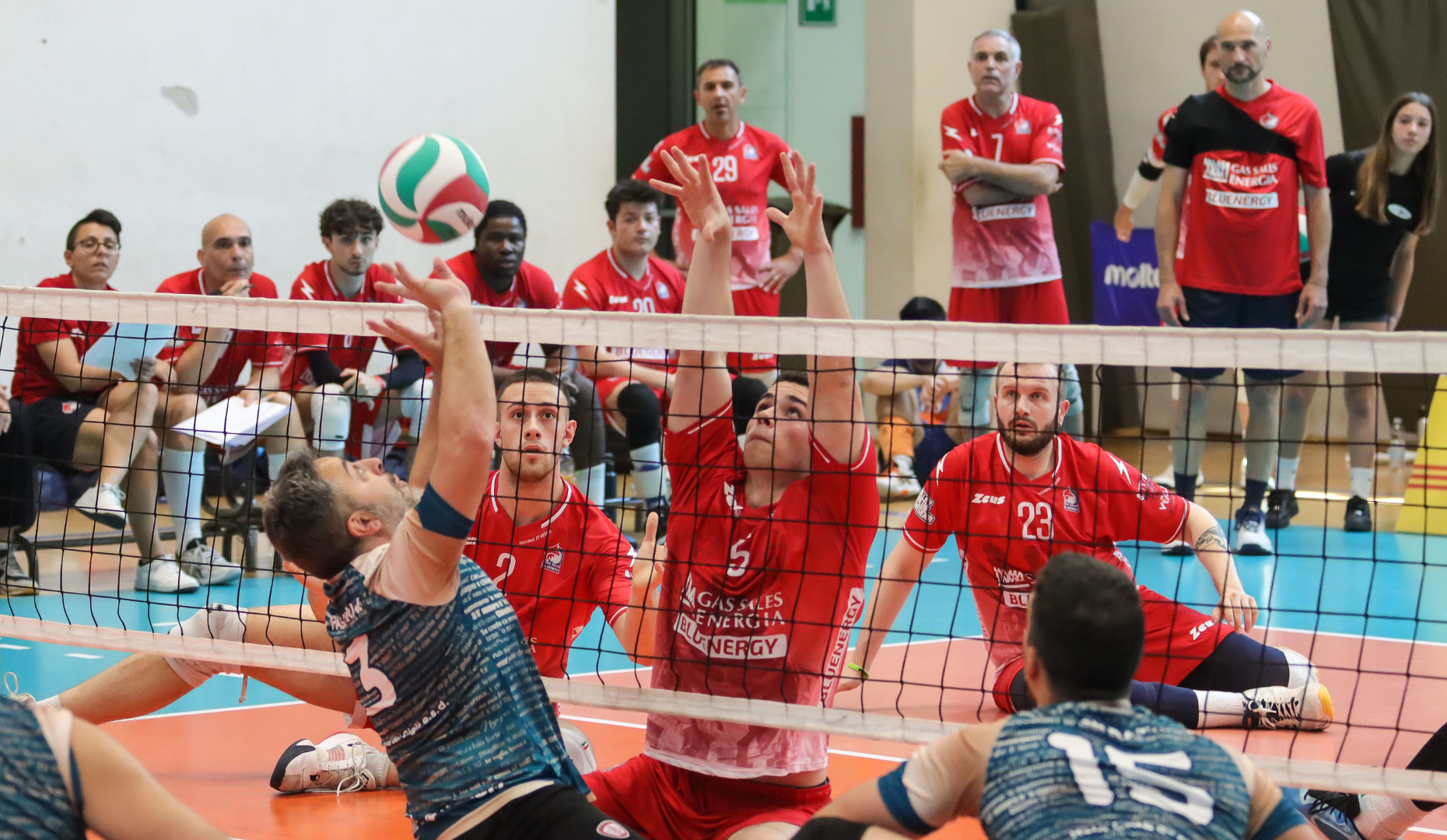 Volley_Piacenza_Foto_Sitting_Coppa_04-06-2026