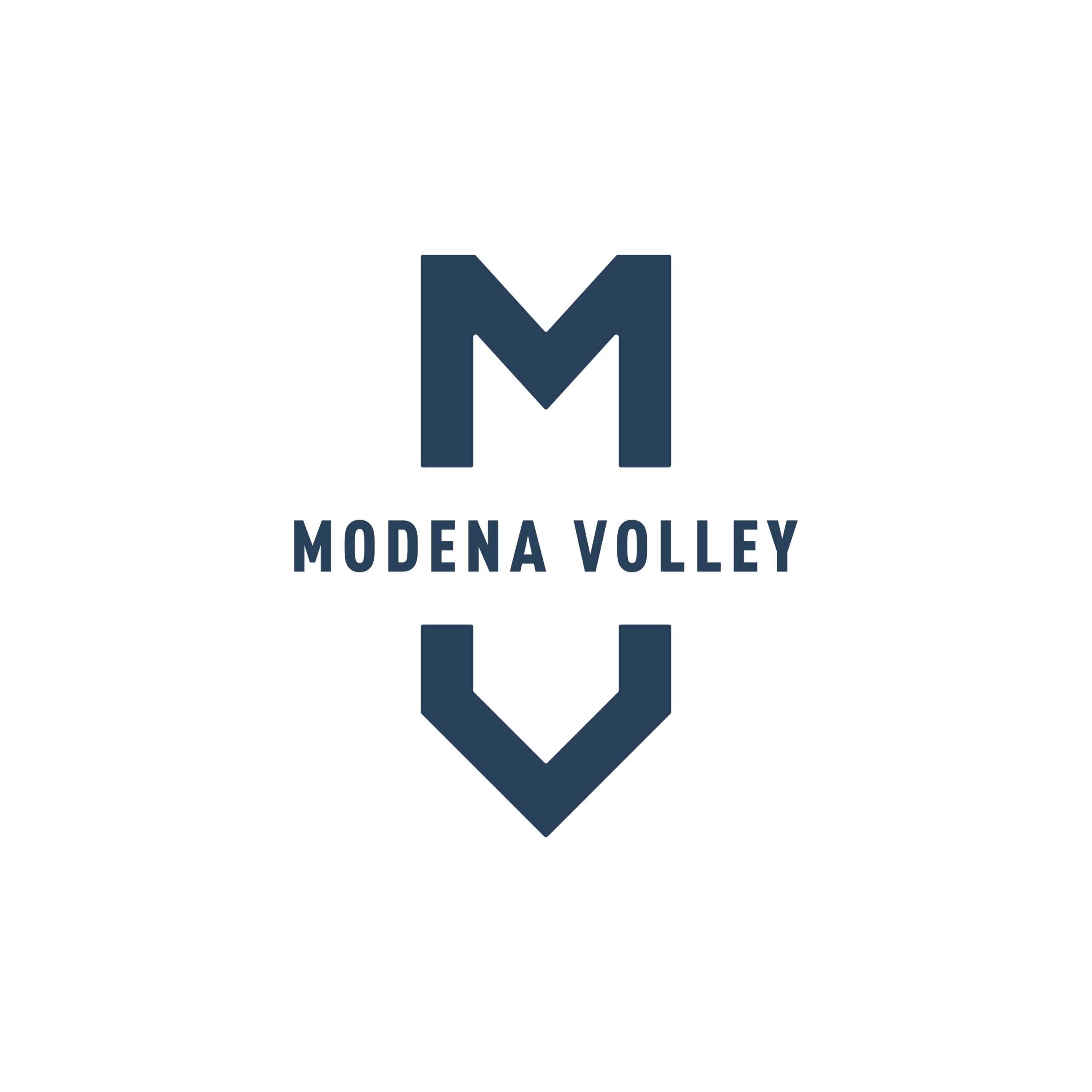 1MV_main-logo_CMYK-scaled