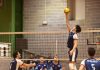 SAV Silvolley, Rebegea completa la regia