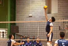 SAV Silvolley, Rebegea completa la regia